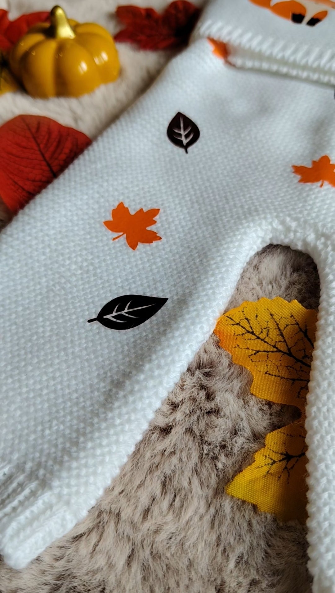 Ensemble en maille - Collection Automne
